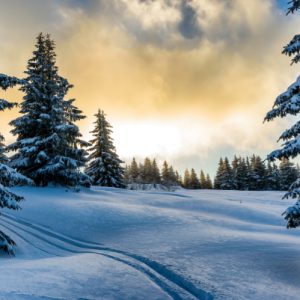 Sunrise in the Snow