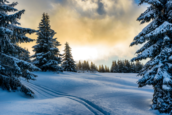 Sunrise in the Snow