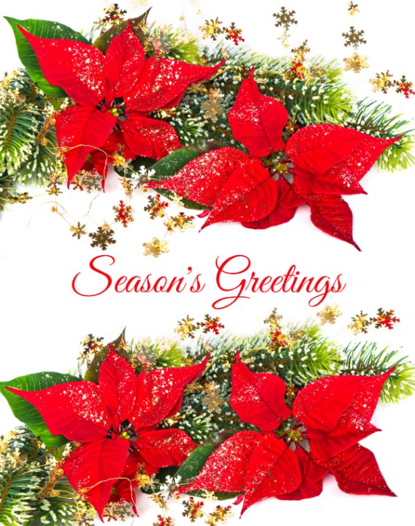 Red Poinsettia and Pine Garland