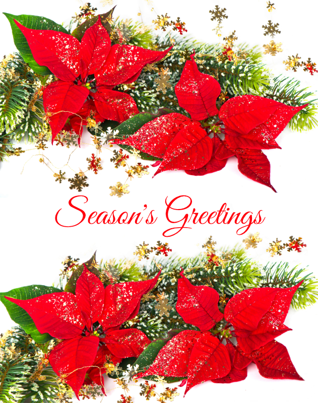 Red Poinsettia and Pine Garland