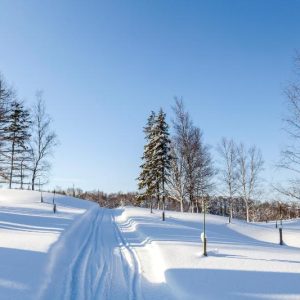 Crisp Snow Trail Under Blue Sky
