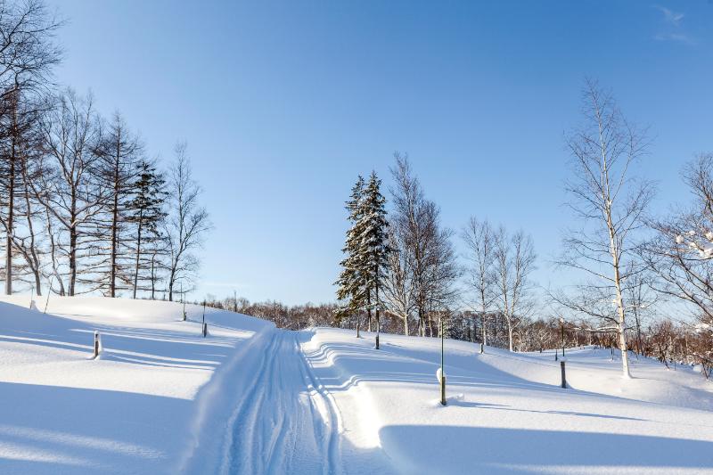 Crisp Snow Trail Under Blue Sky