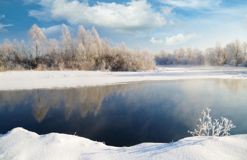 Frosted Riverbank with Blue Sky