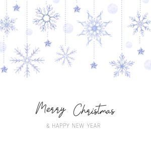 Purple Decorations